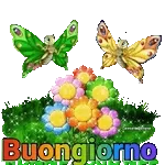 Felice giorno!