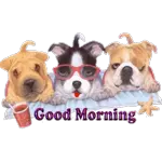 viber ##