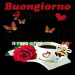 Domenica delle Palme