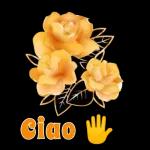 Para além das estrelas