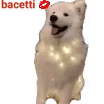 Fely