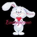 Avviso：Buon domenica!
