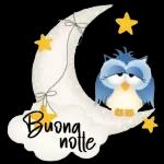 Buona male notte 000 000