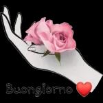 felice giornata 🤗