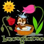 BUONANOTTE AMICI