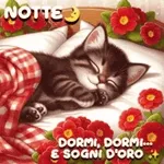 NOTTE DORMI, DORMI... E SOGNI D'ORO
