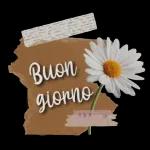 BUONGIORNO