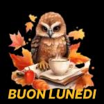 Buon notte