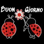 Love is the flower you've got to let grow.