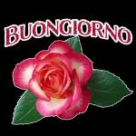 Buon Giorno