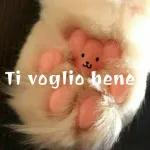 Buon mercoledi