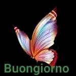 Buongiorno