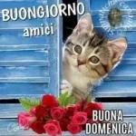 felice domenica 🏄