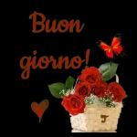 buon giorno