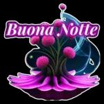 Buonanotte 29