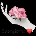 Buongiorno