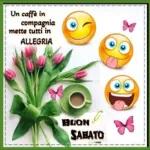 buon sabato a tutti!