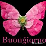 Buongiorno di oggi