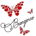 buon giorno  buona notte