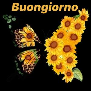 Buongiorno - getsticker.com