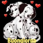 buongiorno!