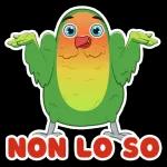 Le parole di chat più popolari🔥