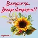 Bungierne!
TiCondivido.it
UN ABBRACCIO
CON TANTO AFFETTO
Buon
Mercoledì
Love