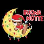 c'è tropposilenzionon va bene