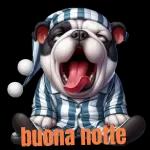 Buon pomeriggio
