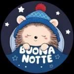 Notte Serenissima 🌌💫