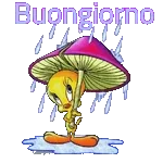 Buongiorno
