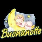 buona notte
