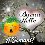 Buona notte