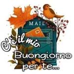 buongiorno