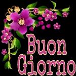 Un saluto con amore a tutti gli amici che passano nel cuore