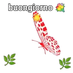 goditi un caffè e osserva le farfalle danzare