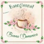 felice domenica 🏄