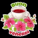 Buon
mercoledì