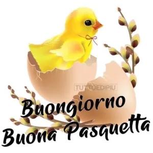 Buongiorno Buona Pasquetta - getsticker.com