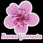 buona giornata