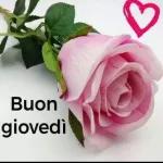buon giovedì 