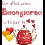 Vendesi Esaurimento Nervoso in ottime condizioni