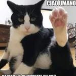 @paraguayira_01 Chisme, chisme