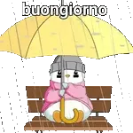 Buongiorno