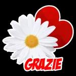 GRAZIE GRAZIE GRAZIE!