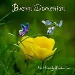 buona domenica