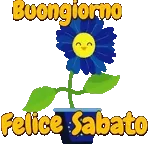 Buongiorno