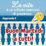 buon martedì  a tutti