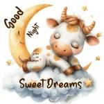 Good Night Sweet Dreams