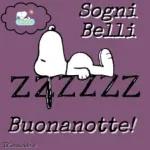 buona notte